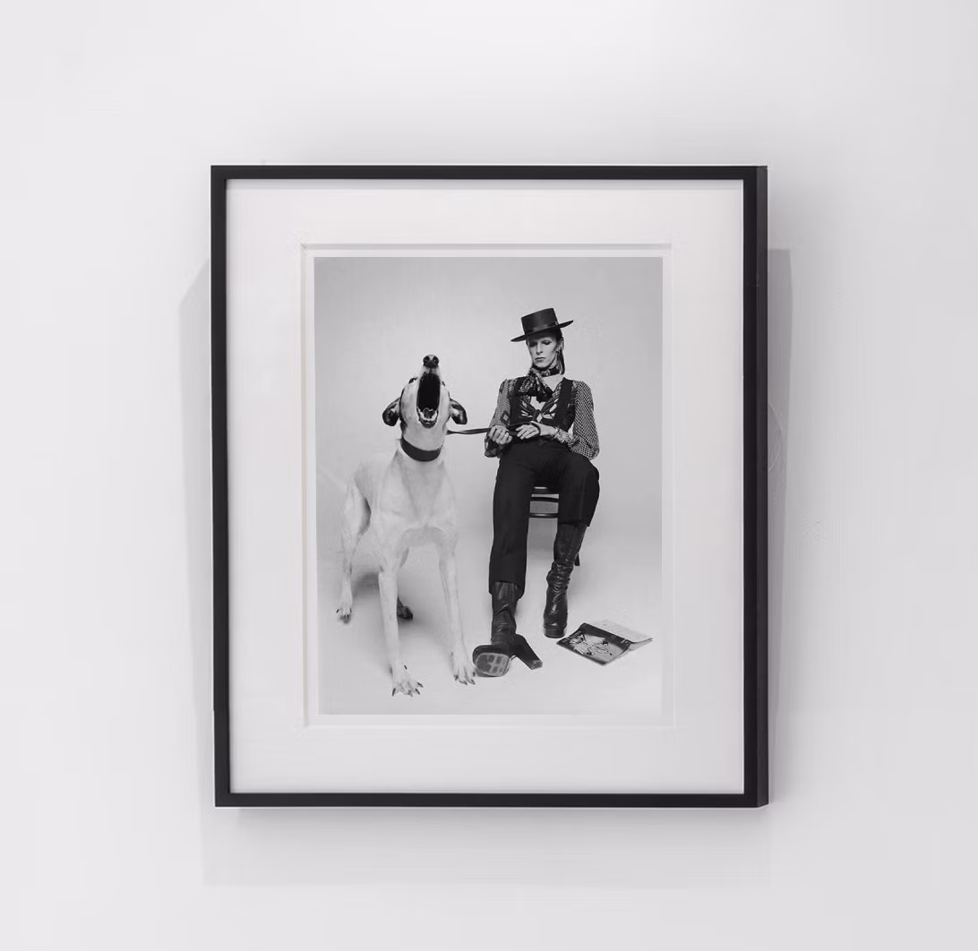 Terry O'Neill, 'David Bowie with Jumping Dog (2), 1974'