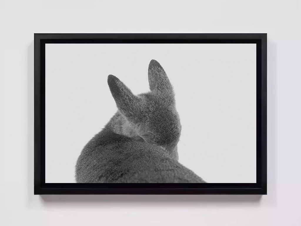 Alessandra Sanguinetti, 'Fawn, Hayward, Wisconsin, 2022'