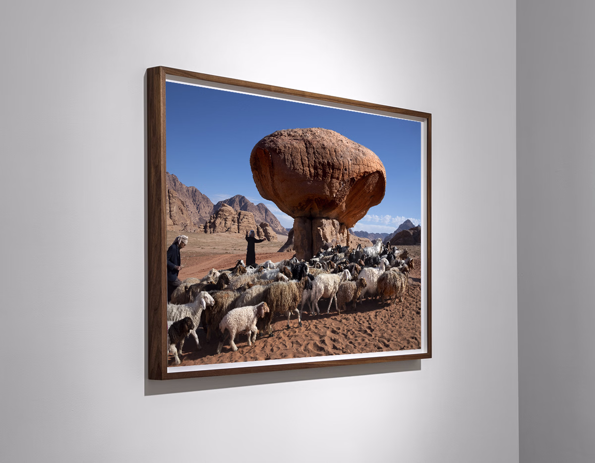 Steve McCurry, 'Shepherds Lead Their Flock, Jordan, 2019'