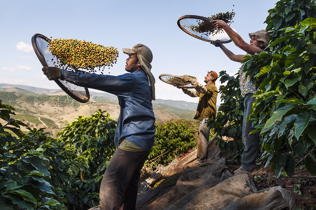 Steve McCurry, 'Three Farmers Working, Brazil, 2010'